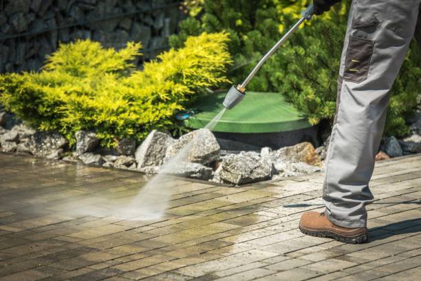 Best Boat and Dock Cleaning  in Eggertsville, NY