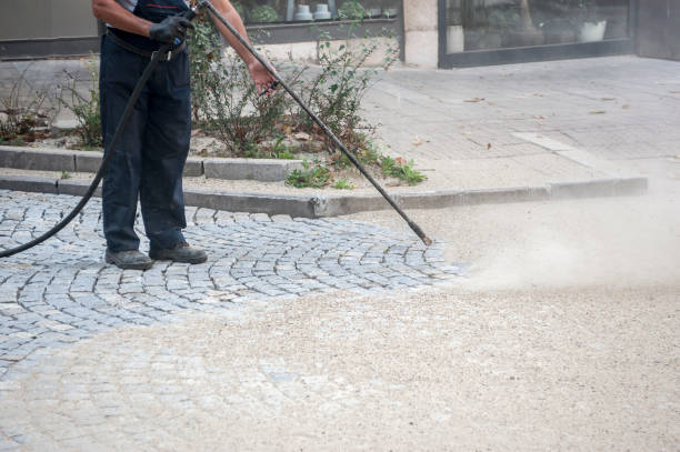 Best Driveway Pressure Washing  in Eggertsville, NY